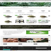 zipchronic's Portfolio